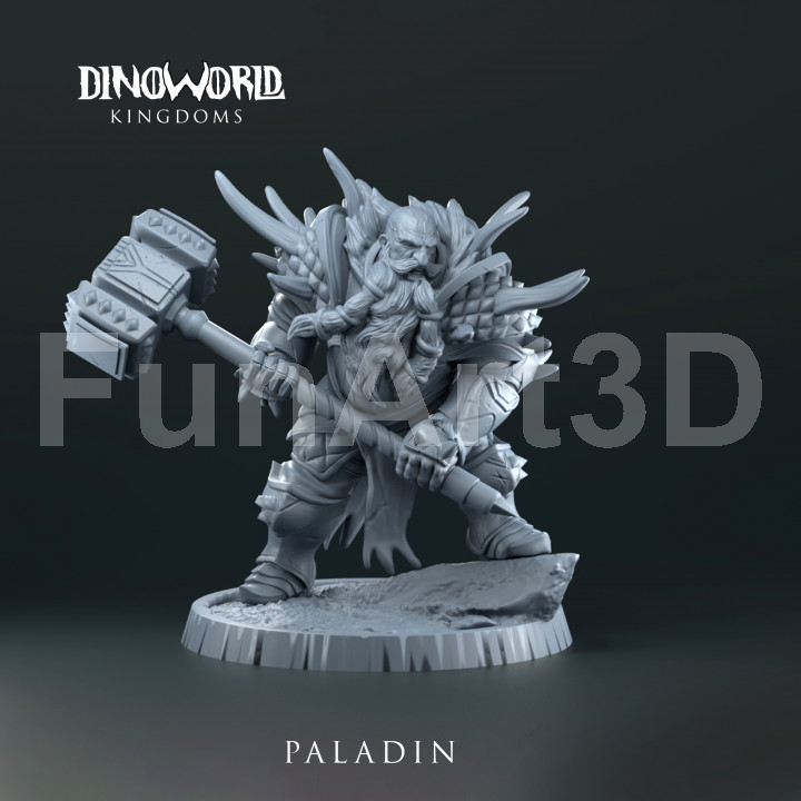 Dwarft Paladin